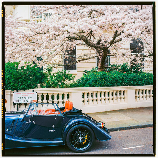 London Art Print, Elegant Springtime, Cherry blossom Wall Art - Rue Paradis Art Prints