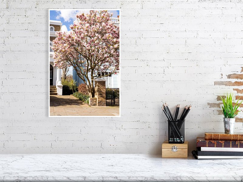 London Blossom Art Print - Pink Magnolia Tree Wall Art - Rue Paradis Art Prints