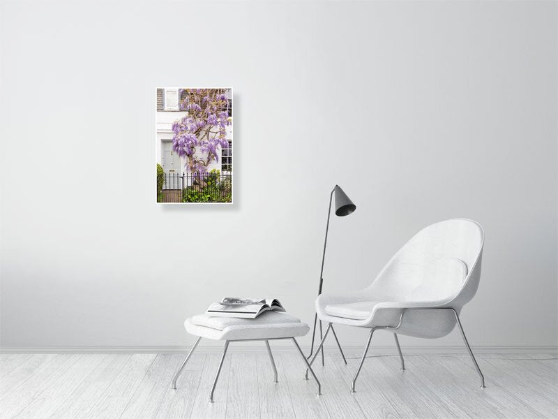 London Spring Art Print, Wisteria Tree Blossom Wall Art - Rue Paradis Art Prints