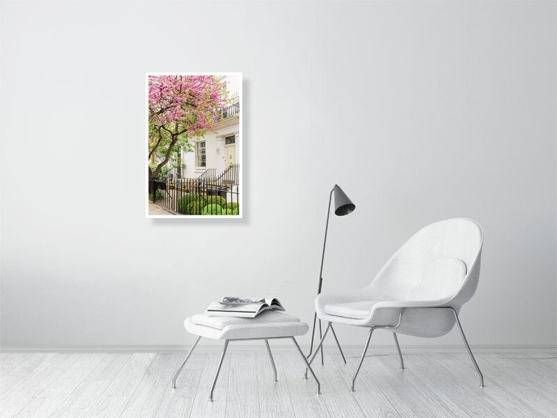 Lilac Tree Purple, London Blossom, London Spring Photography - Rue Paradis Art Prints