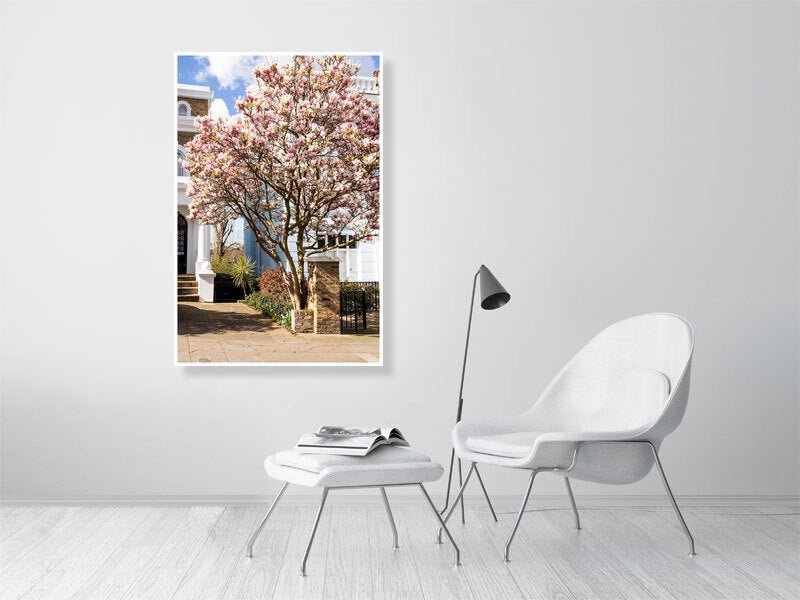 London Blossom Art Print - Pink Magnolia Tree Wall Art - Rue Paradis Art Prints