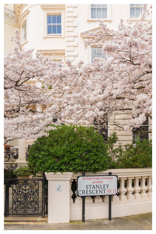 London Spring Cherry Blossom Wall Art - Floral Art Print - Rue Paradis Art Prints
